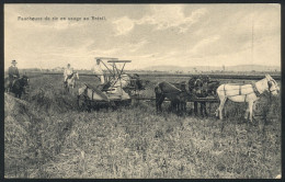 BRAZIL: Horse-drawn RICE Harvester, Agriculture, Ed. Zoller, Circa 1910, VF! - Otros & Sin Clasificación
