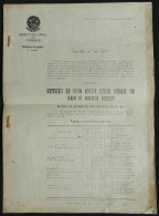 BRAZIL: Post Circular Of 14/DE/1925 Indicating UPU Regulations For Mailing Letters, Parcel Posts, Money Orders Etc., 21  - Other & Unclassified