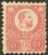HUNGARY: Sc.9, 1871/2 5k. Rose, Mint, Very Fine Quality! - Autres & Non Classés