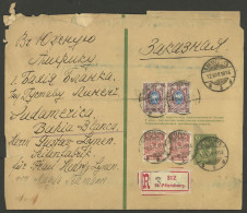 RUSSIA: 12/MAR/1914 St. Petersbourg - Argentina, Wrapper (postal Stationery) With Nice Additional Postage, Posted By REG - Altri & Non Classificati
