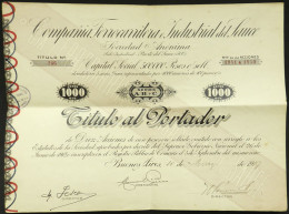 URUGUAY: Certificate For 10 Shares Of The Year 1919: Railway Company Compañía Ferrocarrilera E Industrial Del Sauce, Wit - Ohne Zuordnung