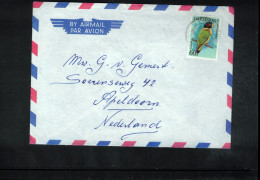 Suriname Bird Interesting Airmail Letter - Suriname