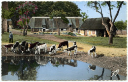 LA NORMANDIE - FERME NORMANDE - AUX ABORDS DE LA MARE - Haute-Normandie