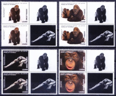 Apes Orangutan Gorilla, Monkeys, Sierra Leone 2017 MNH 4v Vertical Pair, Wild Animals - Gorilla