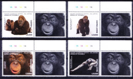 Apes Orangutan Gorilla, Monkeys, Sierra Leone 2017 MNH 4v+Label Color Guide (a), Wild Animals - Gorilla