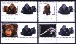 Apes Orangutan Gorilla, Monkeys, Sierra Leone 2017 MNH 4v+Label Color Guide (b), Wild Animals - Gorilles