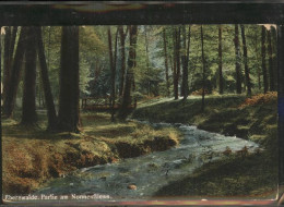 41401686 Eberswalde Partie Am Nonnenflies Wildpark Eberswalde - Eberswalde