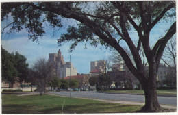 Skyline Of Houston From Sam Houston Park, Texas - (TX, USA) - Houston