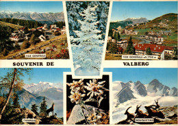 N°121326 -cpsm Souvenir De Valberg - Saluti Da.../ Gruss Aus...