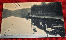 BOITSFORT -     L'Etang Avec Les Cygnes - Watermaal-Bosvoorde - Watermael-Boitsfort