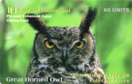 UNITED STATES - PREPAID - TCI TELECARD INTERNATIONAL - ENDANGEDRED SPECIES - BIRD - GREAT HORNED OWL - Autres & Non Classés