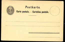 Postkarte P12 Postfrisch 1879 - Entiers Postaux