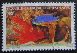 552 Nouvelle Calédonie Et Dépendances Oblitéré Aquarium De Nouméa Glyphododontops Cyaneus - Gebruikt