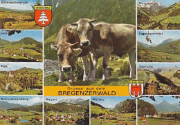 AK 195445 AUSTRIA - Bregenzerwald - Bregenzerwaldorte