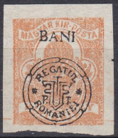 Transylvanie Cluj Kolozsvar 1919 N° 37 * Timbres Journaux (J20) - Transsylvanië