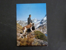 SUISSE SWITZERLAND HELVETIA SCHWEIZ - BOURG SAINT PIERRE / COL DU GRAND SAINT BERNARD CHIEN DOG HUND CHANOINE BARRY - Bourg-Saint-Pierre 