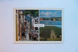 DINGLE  -  Irlande - Otros & Sin Clasificación