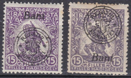 Transylvanie Oradea Nagyvarad 1919  N° 57-57a   * (J20) - Transilvania