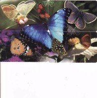 Afrique Du Sud,SOUTH AFRICA, Puzzle Butterfly, Papillon, Schmetterling - Zuid-Afrika