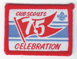 B 10 - 96 CUB SCOUTS CELEBRATION, Scout Badge - Pfadfinder-Bewegung