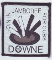 B 10 - 10 ENGLAND Scout Badge - Downe Jamboree - Scouting