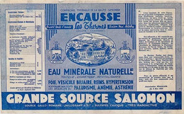 Eau Minérale Radioactive Encausse Les Thermes Grande Source Salomon Haute Garonne (Photo) - Oggetti