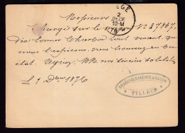 DDFF 531 - Entier Lion Couché JEMEPPE 1876 - Cachet Braconnier Frères Et Soeur à TILLEUR - Postcards 1871-1909
