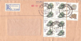 SOUTH AFRICA - SMALL COLLECTION 10 COVERS / 4075 - Andere & Zonder Classificatie
