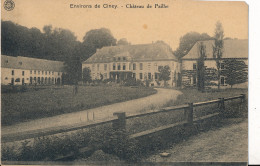 ENVIRONS DE CINEY  CHATEAU DE PAILHE             ZIE SCANS - Ciney