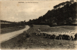 CPA Desvres Cote Des Courteaux (1278561) - Desvres