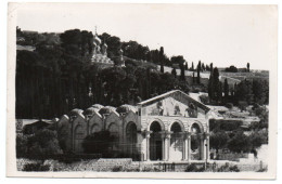 JORDAN/ ISRAEL - JERUSALEM CHURCH OF GETHSEMANE (PHOTO LEON) - Jordan