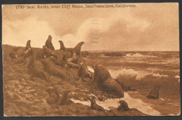 Animals  Animaux - C.P.A. Postmarked 1913 With A Nice Stamp - Seal Rocks Near Cliff House San Francisco California - Dolphins