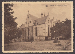 104880/ BINCHE, La Collégiale Vue Du Parc - Binche