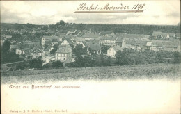 41394664 Bonndorf Schwarzwald Herbst-Manoever 1908 Bonndorf Schwarzwald - Bonndorf