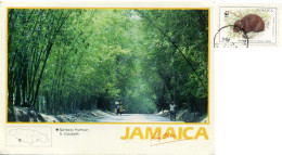 JAMAICA ST. ELIZABETH Bamboo Avenue Nice Stamp - Giamaica