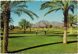 GOLF Golfing In The Valley Of The Sun Phoenix Arizona - Golf