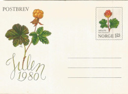 NORUEGA NORWAY ENTERO POSTAL NAVIDAD CHRISTMAS FLOR - Postal Stationery