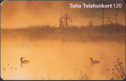 Schweden Chip 133  Ducks In The Fog - 120U (60114/018) - Suecia