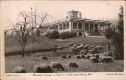 11357074 Baltimore_Maryland Mansion House Druid Hill Park Sheep - Altri & Non Classificati