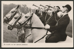 Paarden - Jacht - Reveille 1950 - Chevaux