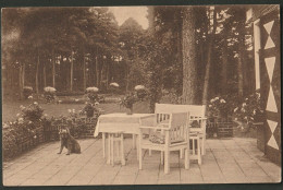 Zeist - Huize Dhjimat - Woudenbergscheweg - Terras - Zeist