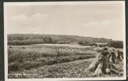 Lochem 1953 - Bergglooïng - Lochem