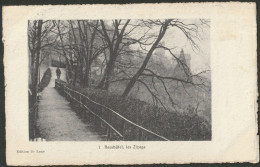 Neuchâtel - Les Zizags 1906 - Autres & Non Classés