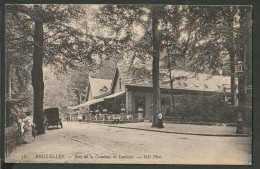 Bruxelles 1910 - Bois De La Cambre, La Laiterie. Animé, Levendig - Other & Unclassified