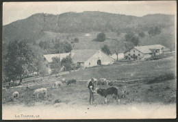 La Tourne 1908. Avec Farme Et Des Vaches - Autres & Non Classés