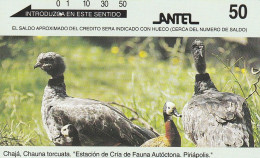 PHONE CARD URUGUAY  (E2.15.1 - Uruguay