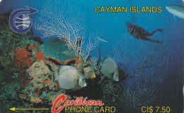 PHONE CARD CAYMAN ISLAND  (E1.23.6 - Isole Caiman