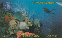 PHONE CARD CAYMAN ISLAND  (E1.13.6 - Kaaimaneilanden