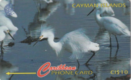 PHONE CARD CAYMAN ISLAND  (E1.13.7 - Islas Caimán