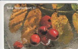 PHONE CARD SVEZIA  (E1.8.1 - Suecia